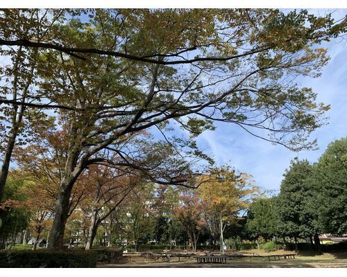 F193D155-3EB2-4046-8BF1-09549AB19C3D
